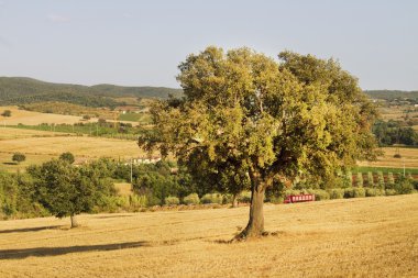 Toskana Manzarası