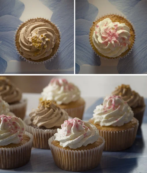 Cupcake-Collage — Stockfoto