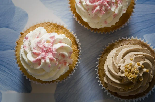 Cupcake com creme — Fotografia de Stock