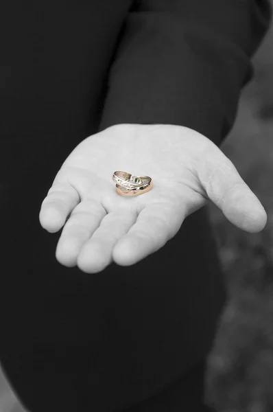 The wedding rings — Stock Photo, Image