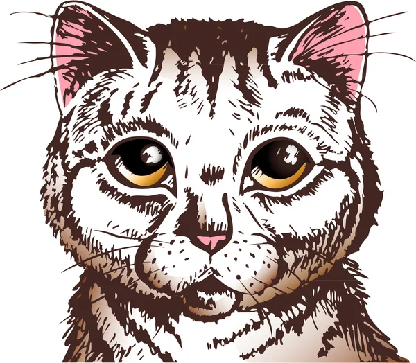 Здивований кішка обличчя — стоковий вектор