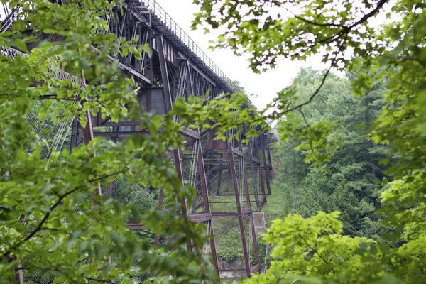 1887 Żelazo most kolejowy przez drzewa — Zdjęcie stockowe