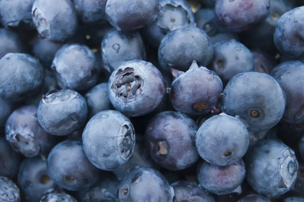 Fresh blueberries closeup .texture bluenerry.selective focus — Stock Photo, Image