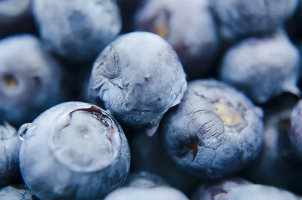 Fresh blueberries closeup .texture bluenerry. selective focus — Stock Photo, Image