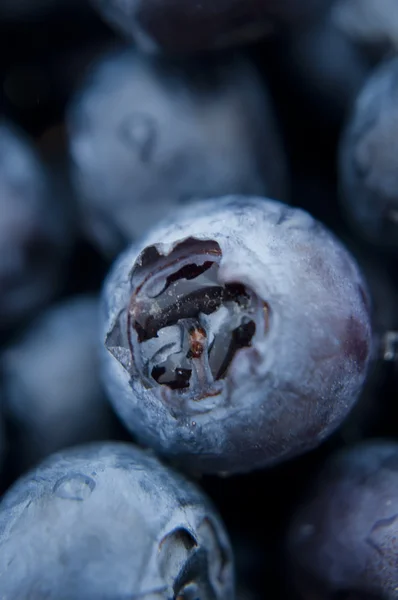 Fresh blueberries closeup .texture bluenerry, selective focus — Stock Photo, Image