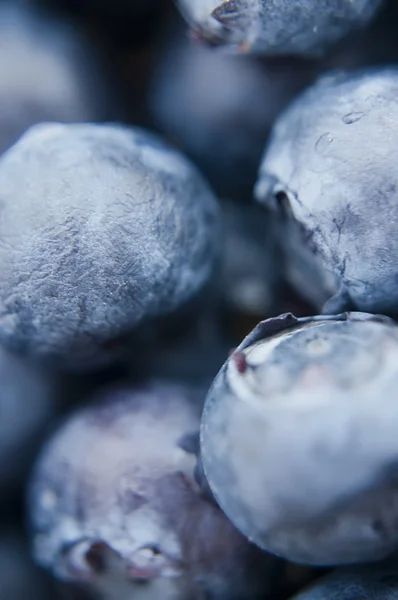 stock image Fresh blueberries closeup .texture bluenerry, selective focus