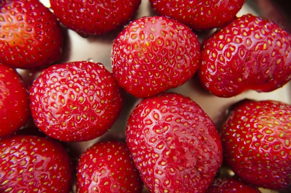 Fresh strawberries close seup .texture bluenerry, selective focus — стоковое фото