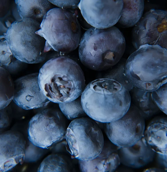 Fresh blueberries closeup .texture bluenerry, selective focus — Stock Photo, Image
