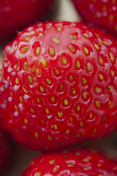 Frische Erdbeeren Nahaufnahme .texture bluenerry, selektiver Fokus — Stockfoto