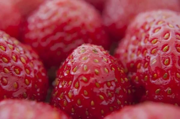 Färska jordgubbar närbild .texture bluenerry, selektiv inriktning — Stockfoto