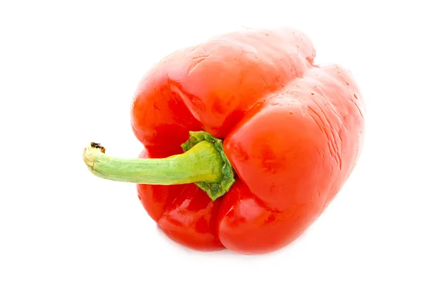Red pepper isolated on white Royalty Free Stock Images
