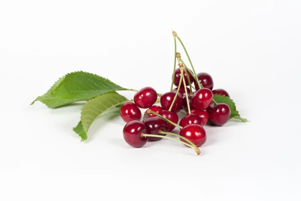 stock image Cherries