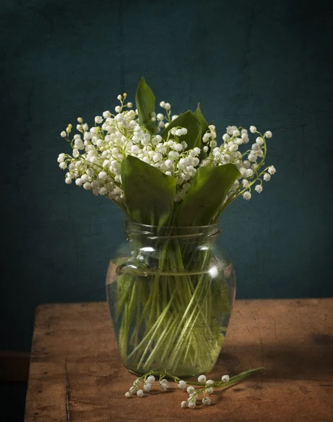 stock image Convallaria