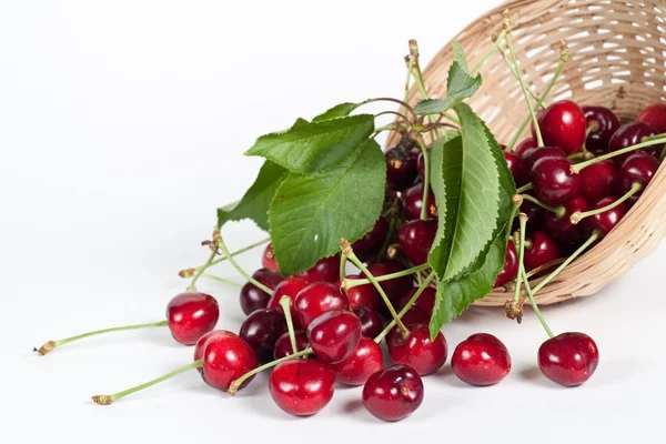 stock image Cherries