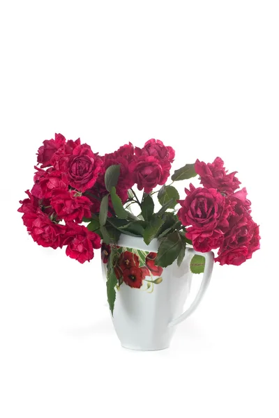 Belle rose rosse — Foto Stock