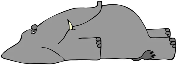 Мертвый слон — стоковое фото