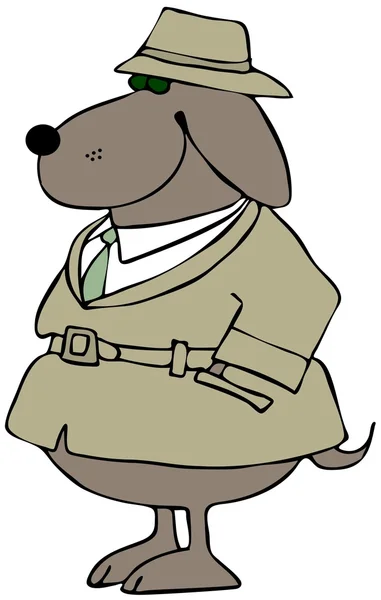 Dog private investigator — Stock Photo, Image