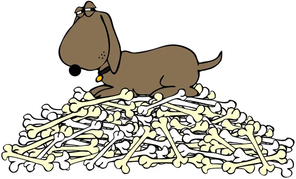 Dog guarding a pile of bones — Stock Photo, Image
