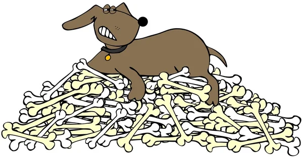 Dog protecting a pile of bones