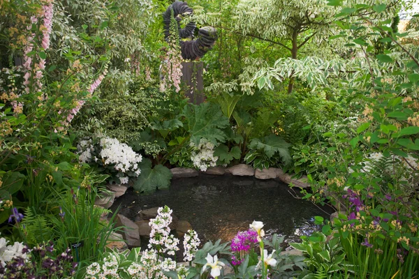 Garden with a pond — Stock Photo, Image