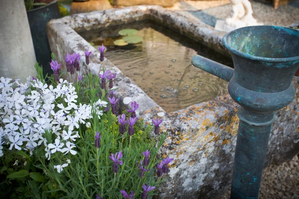 stock image Garden with a little fontaine and pond