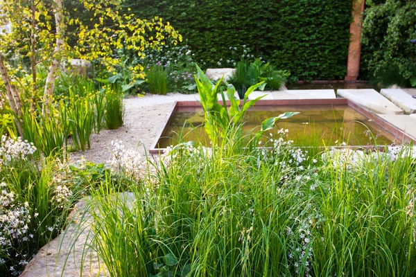 Garden with a pond — Stock Photo, Image