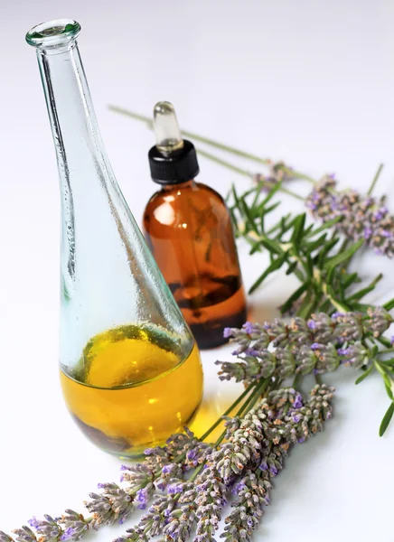 Lavender oil and essence — Stock Photo, Image