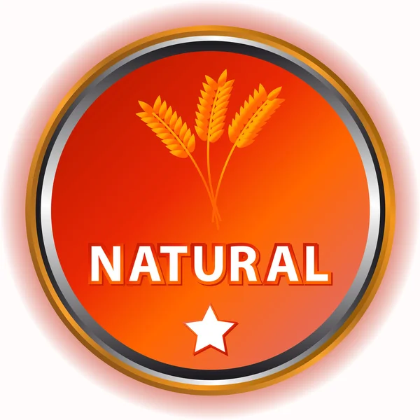 Natuurlijke pictogram — Stockvector