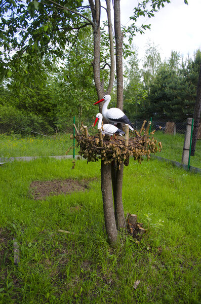 Storks on a tree