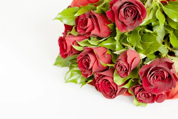 stock image Red roses on white background