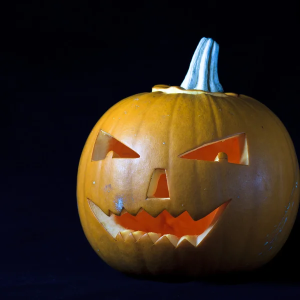 stock image Halloween pumpkin on black