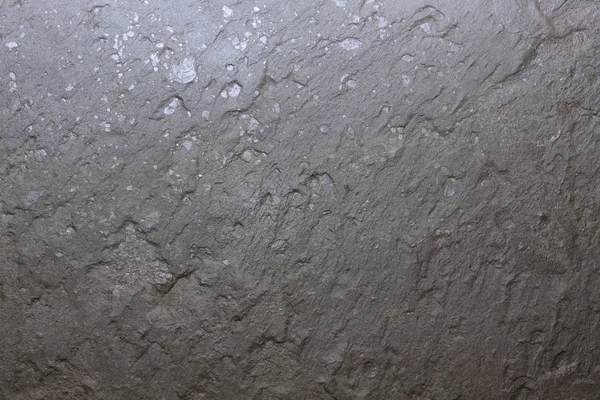 Черная стена, камень с окаменелостями — стоковое фото