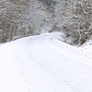 Kış yol snowy orman