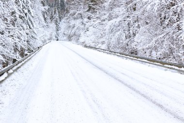 Kış yol snowy orman