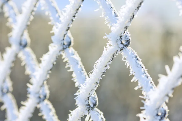 Седой мороз на заборе звена цепи — стоковое фото