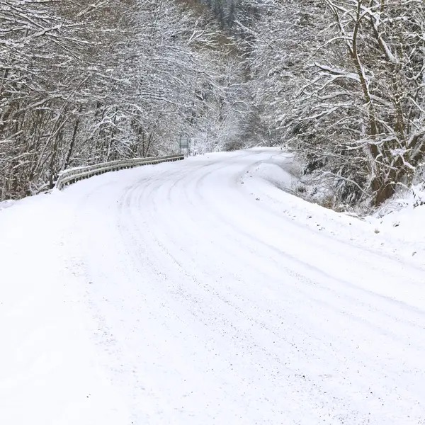 stock image Winter road in snowy forest