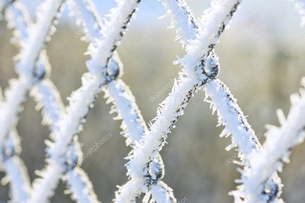 Hoar frost on chain link fence