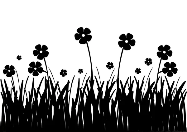 Flowers black and white — Stock Photo, Image