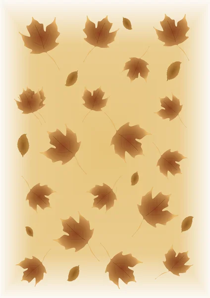 Осень осенью листья фона — стоковое фото