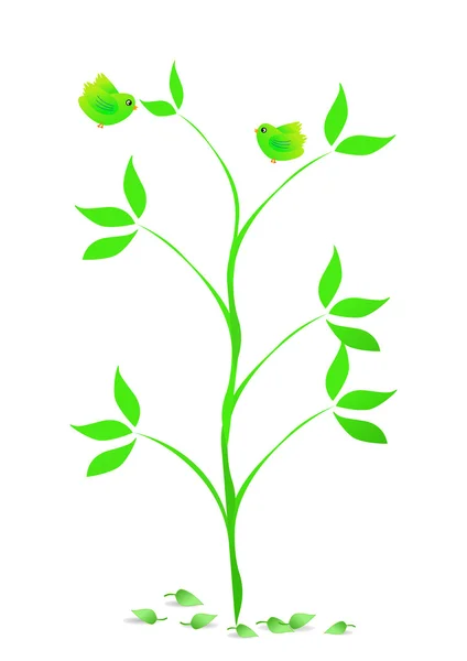 Green tree with birds — Stock Vector