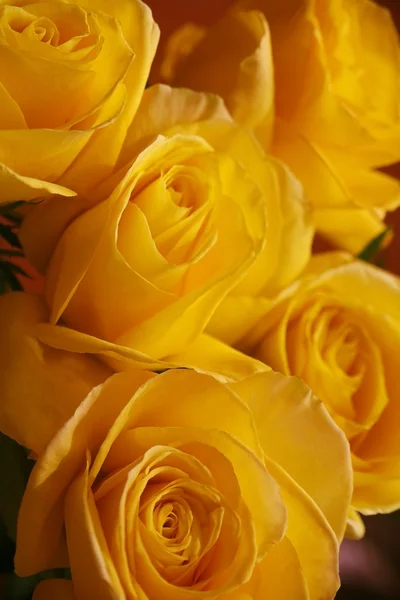 Ramo de rosas de color amarillo brillante — Foto de Stock