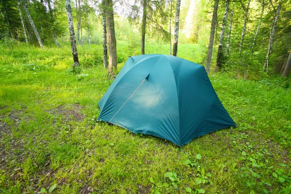 Туристическая палатка на поляне из дерева — стоковое фото