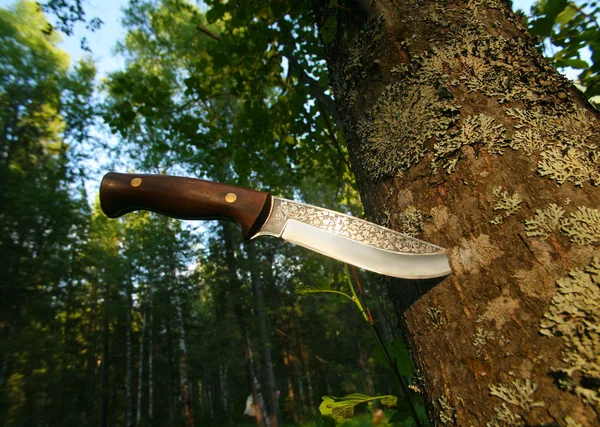 Faca de caça no tronco da árvore — Fotografia de Stock