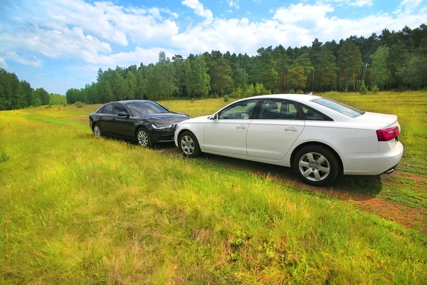 Two prestigious cars on nature — Stock Photo, Image
