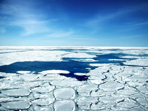 Сломанный лед в море — стоковое фото