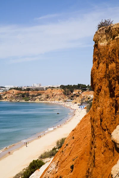 Praia de Portugal Imagem De Stock