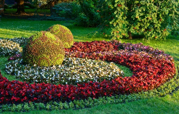 정원 예술. — 스톡 사진