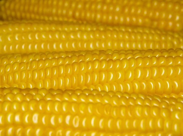 stock image Appetizing corn