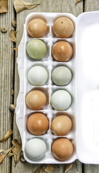 Huevos ecológicos Fotos de stock libres de derechos
