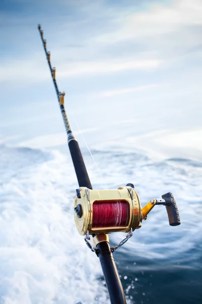 大物釣り — ストック写真